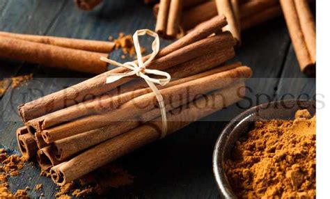 The Connection Between Cinnamon and Mediumship